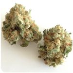 Шишки "White Widow"  (Белая вдова)  Гидропоника -  Бошка VHQ в Малоярославце