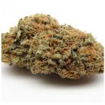 Шишки AK47  (Гидропоника, Бошка) VHQ в Малоярославце